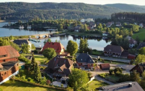 Landhaus-Vintage Fe-Wo-Apartment 5 Schluchsee